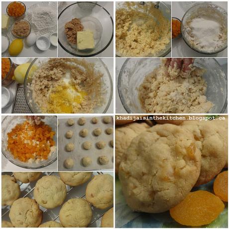 BISCUITS AUX ABRICOTS SECS / DRIED APRICOTS COOKIES / GALLETAS CON ALBARICOQUES SECOS / بسكوي بالمشمش المجفف