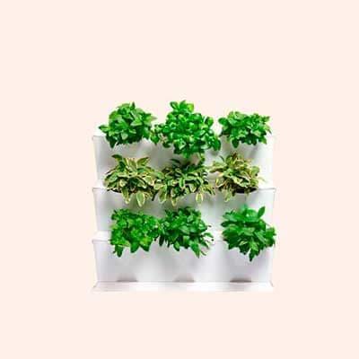 huerto urbano vertical minigarden