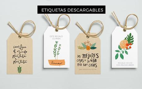 Regalos para amantes de las plantas