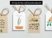 Regalos para amantes plantas