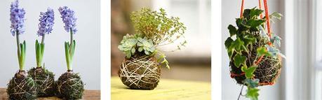 Regalos para amantes de las plantas