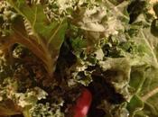 Kale chips (snack saludable rizada)