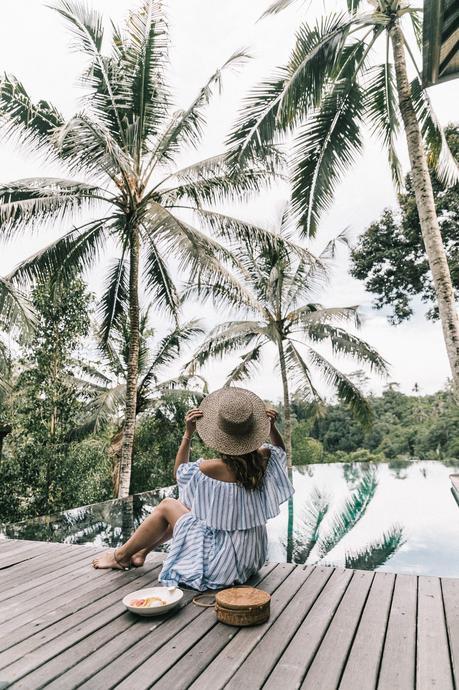 Stripes Forever Stripes Forever