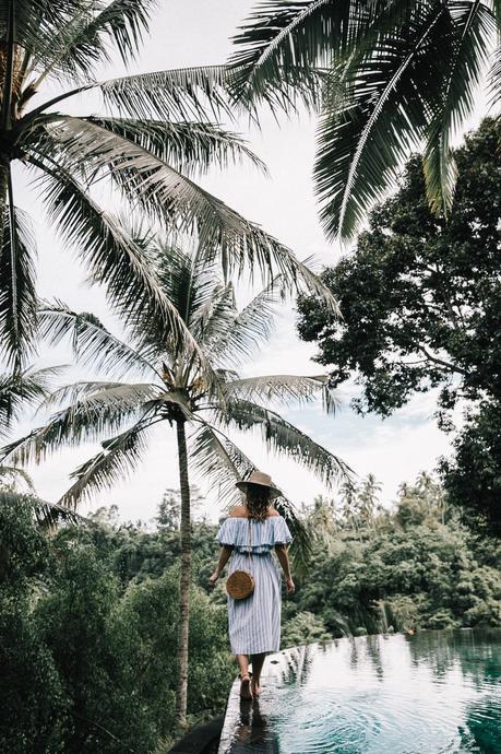 Stripes Forever Stripes Forever