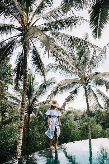 Stripes Forever Stripes Forever
