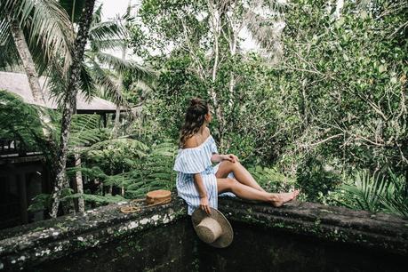 Stripes Forever Stripes Forever