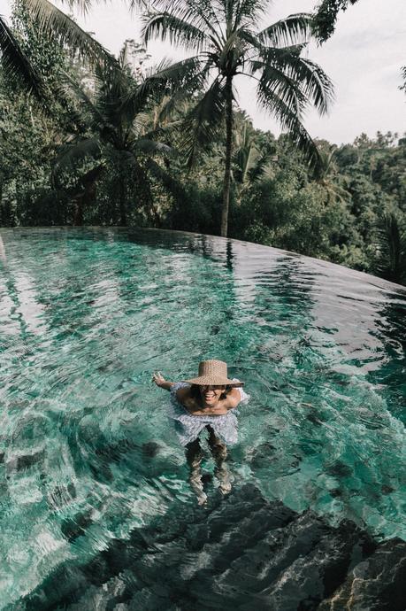 Stripes Forever Stripes Forever