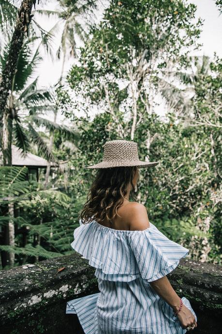 Stripes Forever Stripes Forever