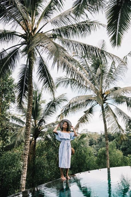 Stripes Forever Stripes Forever