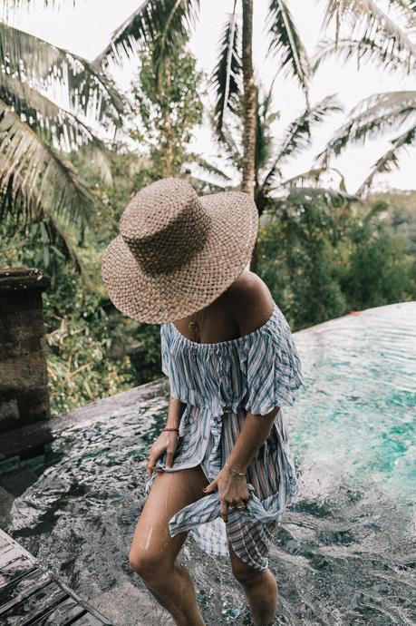 Stripes Forever Stripes Forever