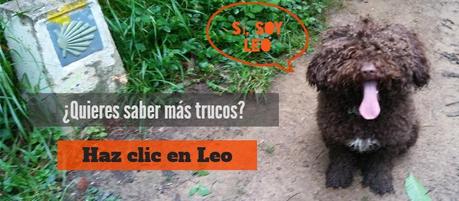 SEO en Youtube: las 8 claves para posicionar tus vídeos en Youtube en 2017