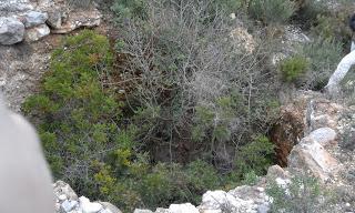 Ruta de los Molinos de Les Coves de Vinromà