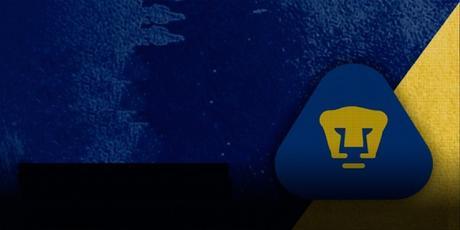 Los Pumas se sienten frustrados por no clasificar