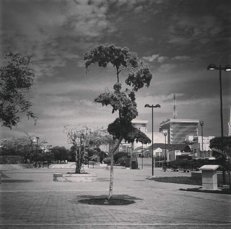 ​Piedras por la libertad