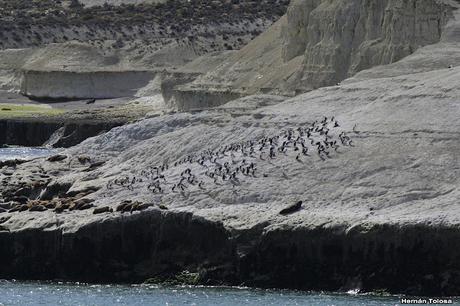 Reserva Faunística Punta Loma