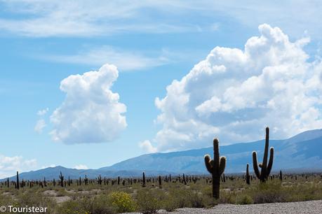 Visitar los Valles Calchaquíes en Salta, road trip de 3 días