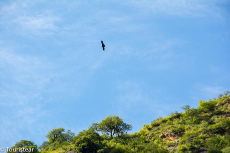 Visitar los Valles Calchaquíes en Salta, road trip de 3 días