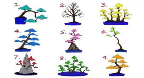 Escoge un árbol y conoce a qué trabajo estás predispuesto