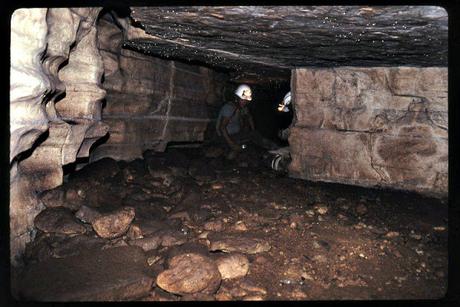 Interior de la Cueva de los Tayos.