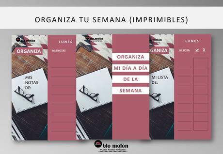 Organiza Tu Semana (Imprimibles)