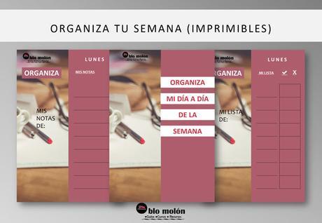 Organiza Tu Semana (Imprimibles)