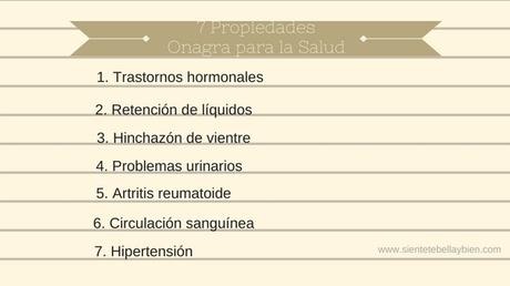 Como descubrí los fantásticos usos del aceite de onagra