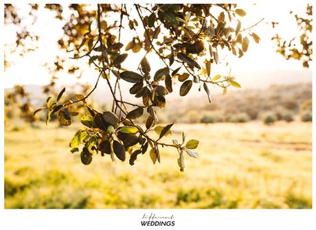 Juan + Perla (preboda)