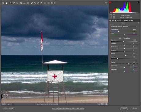 Equilibrio Blancos I