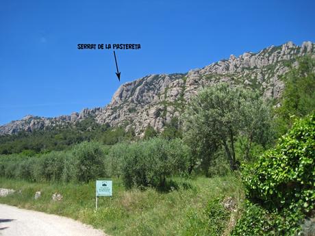 escalando en Montserrat, vía Funcio Clorofílica