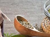 Nace Barcelona Empresa Dedicada Exclusivamente Medicinal Cannabidiol