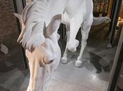 será instalación Claudia Fontes para Pabellón argentino Bienal Venecia