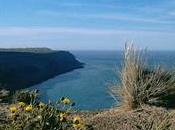 Punta Ninfas