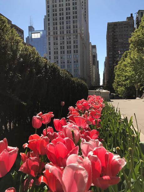 Trotamundos: Chicago