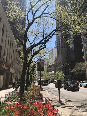 Trotamundos: Chicago