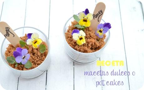 Macetas dulces o pot cakes
