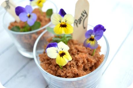 Macetas dulces o pot cakes