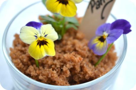 Macetas dulces o pot cakes