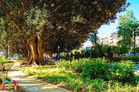 Los 10 Mejores Lugares Que Ver En Murcia. Más De Lo Que Esperas!