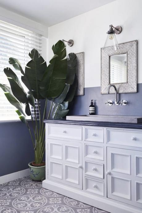 Casas llenas de complementos plants bathroom