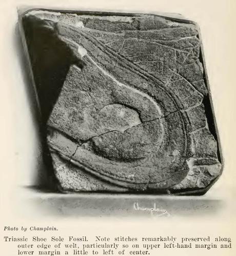 Una huella de zapato de 200 millones de años ¿Es hora de reescribir la Historia?