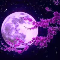 Claro de luna - Debussy