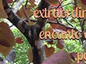 presento nueva obra nuestra compañera letras, sheina leoni: