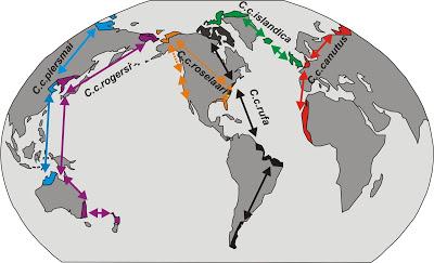 Un emblema de la migración