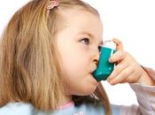 cucarachas roedores también provocan alergia asma