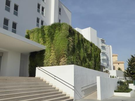 Jardín vertical en Palma de Mallorca