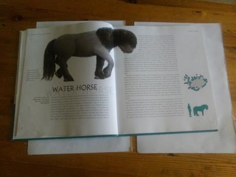 Conociendo a los monstruos de Islandia: Meeting with monsters Conociendo a los monstruos de Islandia: Meeting with monsters