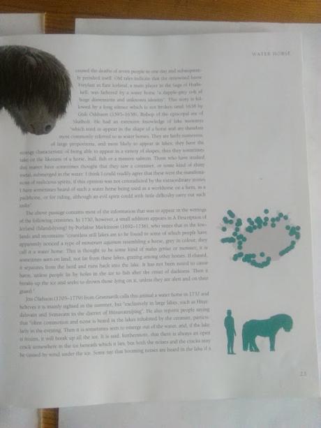 Conociendo a los monstruos de Islandia: Meeting with monsters Conociendo a los monstruos de Islandia: Meeting with monsters