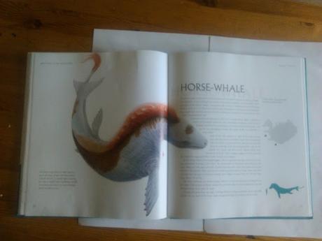 Conociendo a los monstruos de Islandia: Meeting with monsters Conociendo a los monstruos de Islandia: Meeting with monsters