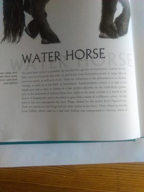 Conociendo a los monstruos de Islandia: Meeting with monsters Conociendo a los monstruos de Islandia: Meeting with monsters