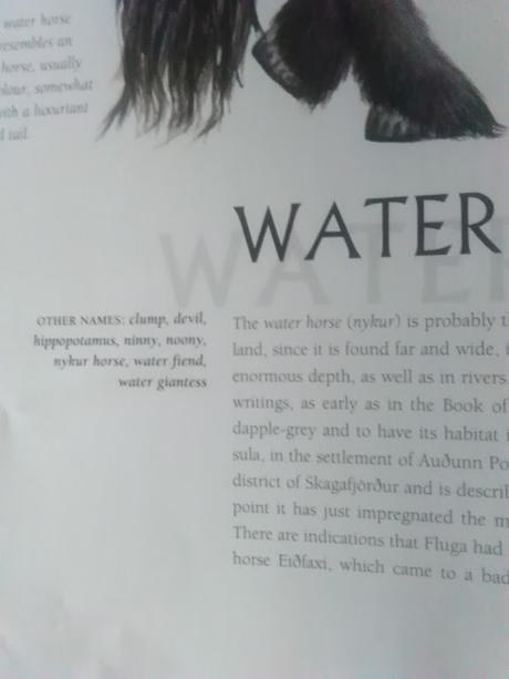 Conociendo a los monstruos de Islandia: Meeting with monsters Conociendo a los monstruos de Islandia: Meeting with monsters